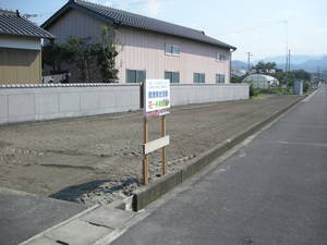 コスモス