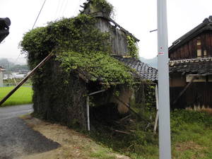 建物