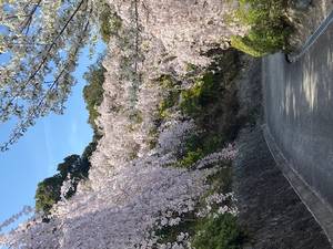 さ