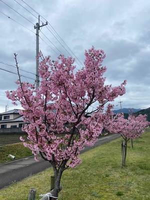 ライオンズクラブ