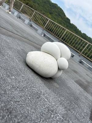 芸術